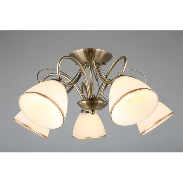 Люстра Omnilux OML-25307-05 ALIMINI — бронза, ракурс 3