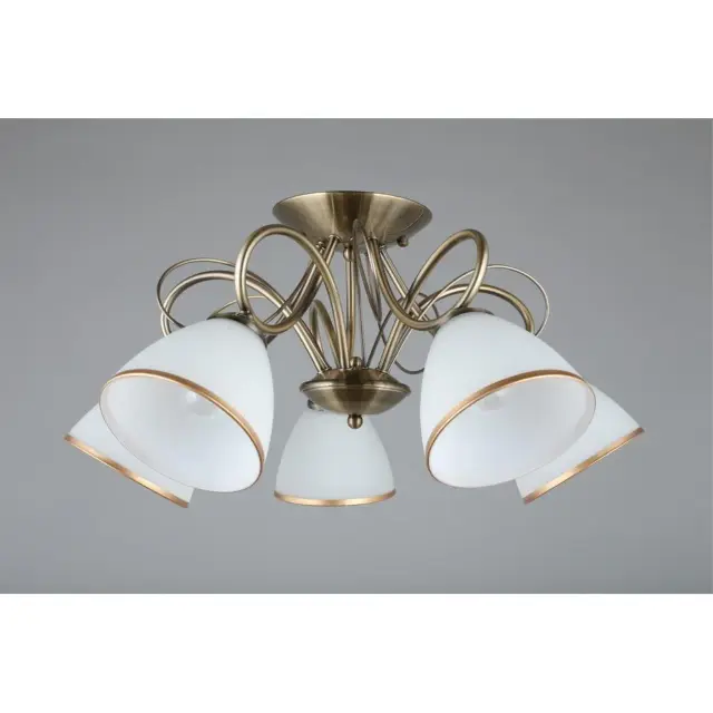 Люстра Omnilux OML-25307-05 ALIMINI — бронза, ракурс 4