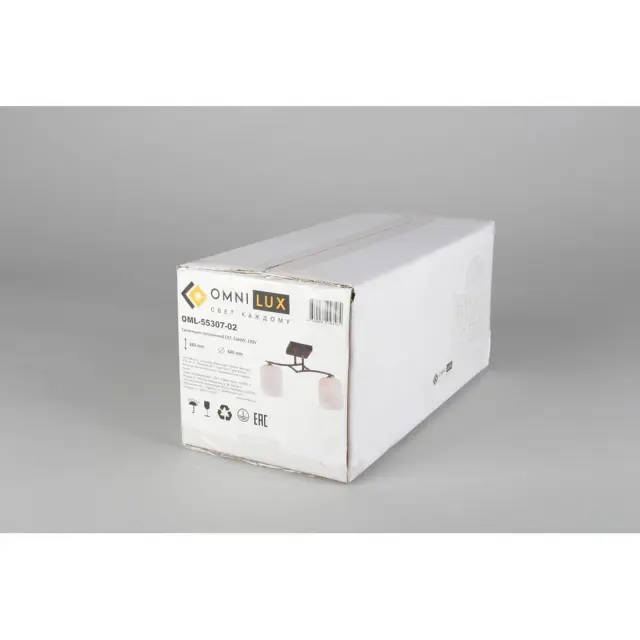 Светильник Omnilux OML-55307-02 PISTICCI — серый, ракурс 4