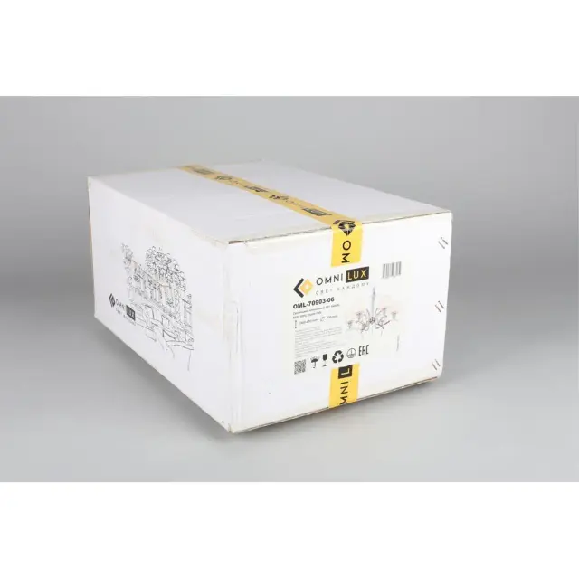 Люстра Omnilux OML-70903-06 BOLLATE — хром, ракурс 10