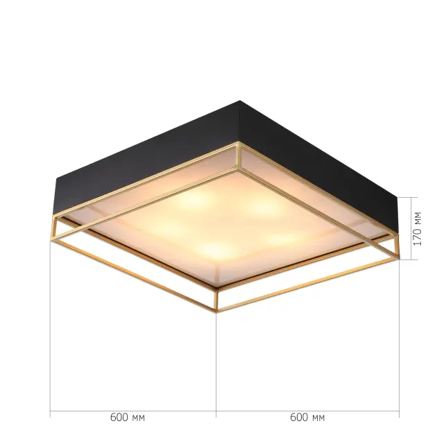 Светильник ST Luce SL1127.422.05 ХОДО — черный, ракурс 5