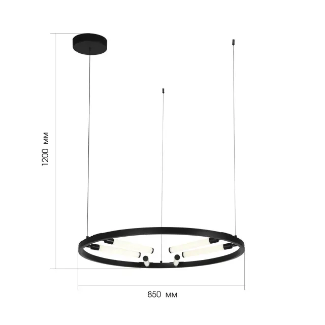 Светильник ST Luce SL393.403.06 БИЗАРИА — черный, ракурс 5