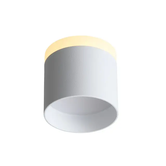 Точечный светильник ST Luce ST102.502.09 PANAGGIO — белый, ракурс 3