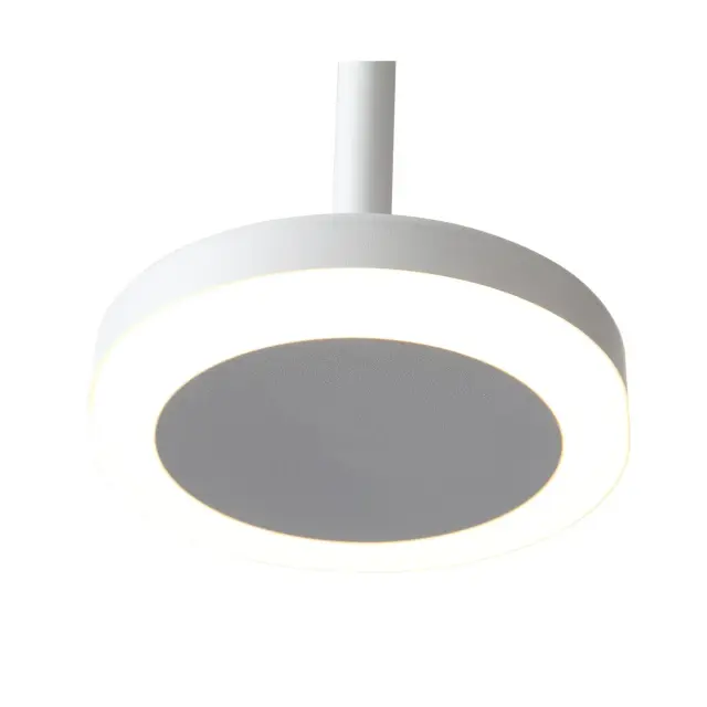 Светильник ST Luce ST104.503.06 CIAMELLA — белый, ракурс 3