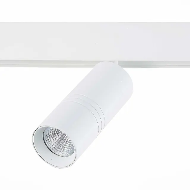 Трековый светильник ST Luce ST365.536.18 СКАЙЛАЙН 48V — белый, ракурс 2