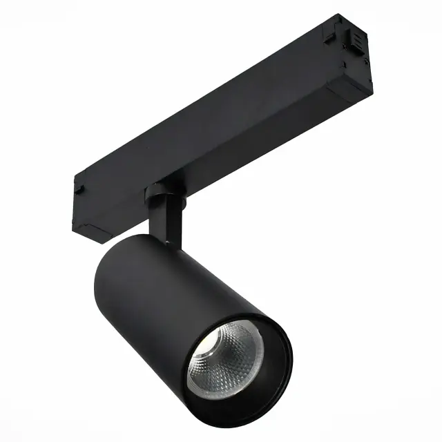 Трековый светильник ST Luce ST660.496.20 СКАЙЛАЙН 220V — черный