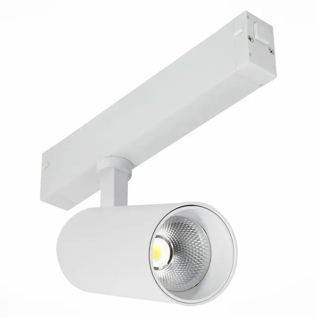 Трековый светильник ST Luce ST660.596.20 СКАЙЛАЙН 220V — белый