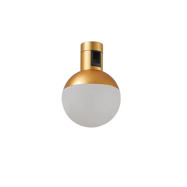 Трековый светильник ST Luce ST815.206.05 ФАРМ — золотой, ракурс 11