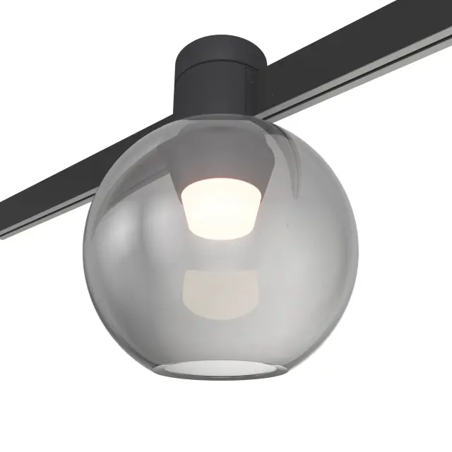 Трековый светильник ST Luce ST819.406.03 ФАРМ — черный
