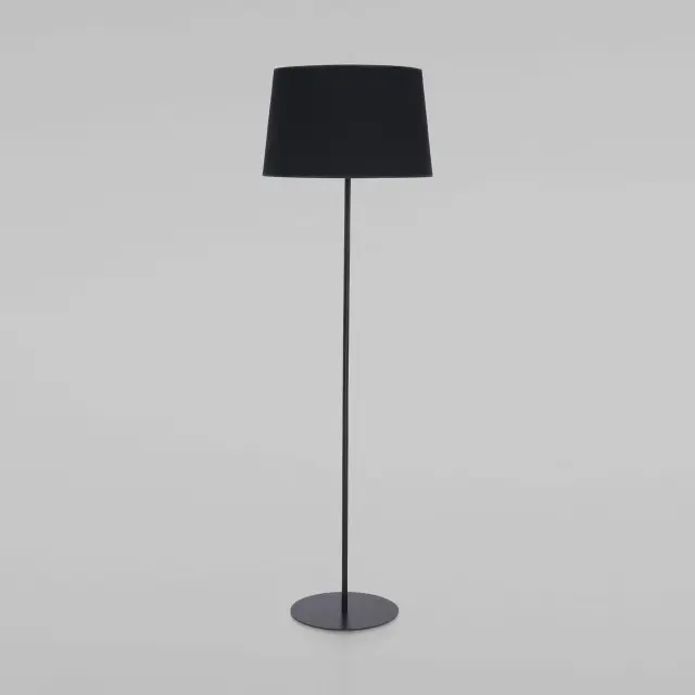 Торшер TK Lighting 2920 MAJA — черный